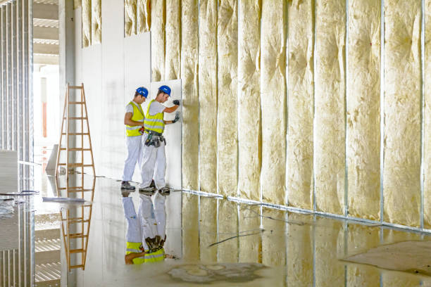 Best Batt and Roll Insulation  in Stanaford, WV